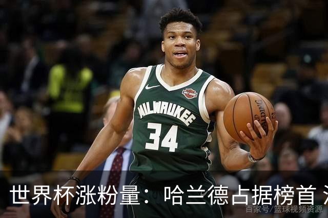 世界杯涨粉量：哈兰德占据榜首 沃齐尼亚粉丝涨幅97900%