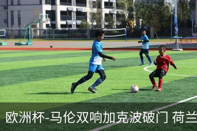 欧洲杯-马伦双响加克波破门 荷兰3-0罗马尼亚