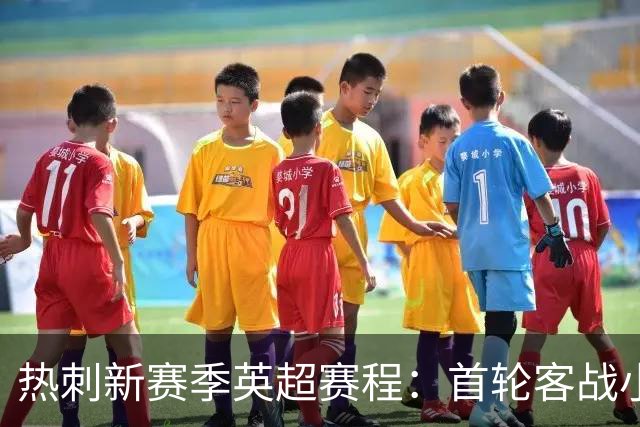 热刺新赛季英超赛程：首轮客战小蜜蜂，最后两轮踢曼联、维拉