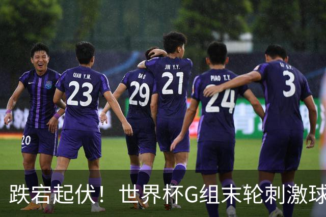 跌宕起伏！世界杯G组末轮刺激球迷心脏 伊朗狂喜过后遭打击