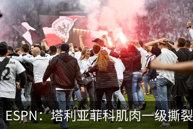 ESPN：塔利亚菲科肌肉一级撕裂，至少缺席世界杯前两场小组赛